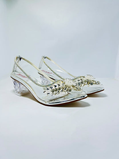 Transparent Sheet Coat Shoes