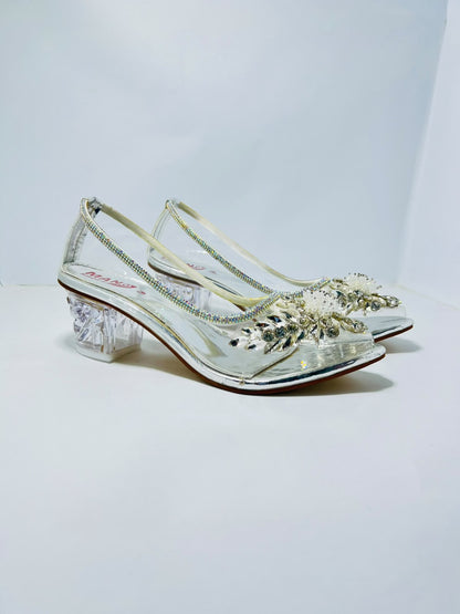 Transparent Sheet Coat Shoes