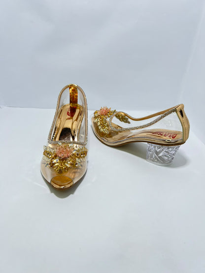 Transparent Sheet Coat Shoes