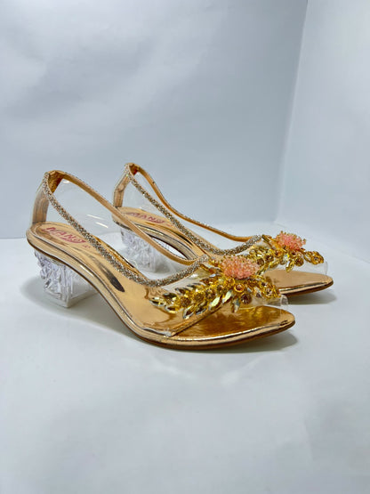 Transparent Sheet Coat Shoes